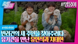 출발 ㅂㄷㅇ 여행 멍뭉이 소개 영상 - 유연석 갤러리 출발 ㅂㄷㅇ 여행 멍뭉이 소개 영상  - 유연석 갤러리