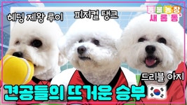 동물농장 가스 양재혁 반려견 탱크 출연 - 남자농구 마이너 갤러리