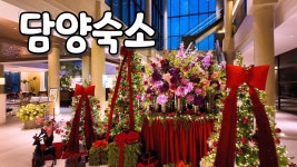 네이버 인플루언서 [네이버 인플루언서] [담양여행] 담양 드몽드 호텔