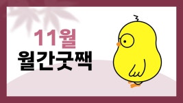 네이버 인플루언서 [네이버 인플루언서] 굿짹월드, 김미경 캡틴과 함께하는 11월 월간 굿짹 라이브