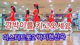 이거봤냐 깜빡이를 키고오세요 라인댄스 - 미스터트롯2 마이너 갤러리