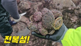 네이버 인플루언서 [네이버 인플루언서] 바위 하나에 더더덕 붙어있는 무인도 섬! +먹방 / 방포옛날토종닭 / 말하믄뭐혀