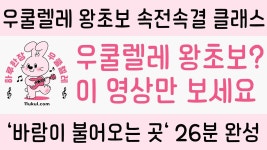 우쿨 2일차 - 우쿨렐레 마이너 갤러리