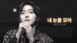 더프젠 유튜브-내 눈물 모아 - 안효섭 마이너 갤러리