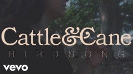 Birdsong - Cattle & Cane | Shazam Birdsong - Cattle & Cane