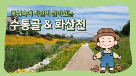 수통골&화산천의 자연 - YouTube 수통골&화산천의 자연