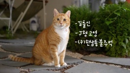 네이버 인플루언서 [네이버 인플루언서] 합사 후 새롭게 찍어보는.. 오들이의 하루🏡
