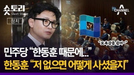 한동훈 숏토리 민주당 