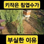 청미래농원 - YouTube 청미래농원