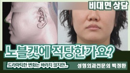 네이버 인플루언서 [네이버 인플루언서] [SUB] 노블캣에 적당한가요? [비대면상담 350] / Is it suitable for Noble Cat?