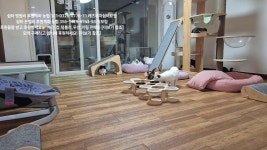 네이버 인플루언서 [네이버 인플루언서] 쉼터 청소 ASMR