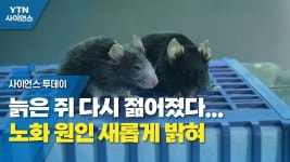 짜잔 우선 아이스 생쥐를 보시게나!! - 편의점 갤러리
