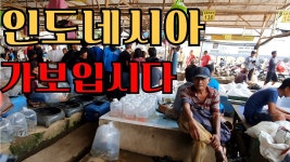 물맞댐 말인데 - 물고기 갤러리