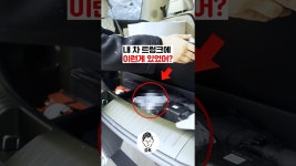 네이버 인플루언서 [네이버 인플루언서] 내 차 트렁크에 이런게 있었어? 💢🚘