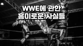 WWE에 대한 재밌는 사실들 - MMA 마이너 갤러리