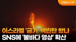 근데 백린탄갖고 왜 국내뉴스는 다 근들갑이래 - 군사 마이너 갤러리