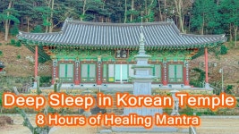 네이버 인플루언서 [네이버 인플루언서] 불경 백색소음 8시간 🙏 | 잡념 제거·깊은 수면 완도 신흥사 신묘장구대다라니... 