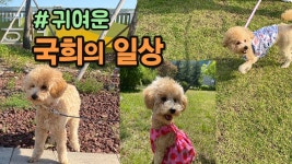 #산들해tv - YouTube