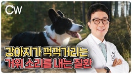 네이버 인플루언서 [네이버 인플루언서] 강아지가 꺽꺽 거위소리를 내는 질환✨