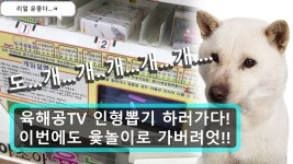 ㅎ 동의대학교에서 펼쳐지는 윷놀이 인형뽑기!  이번엔 협력으로...... ㅎ 동의대학교에서 펼쳐지는 윷놀이 인형뽑기!  이번엔 협력으로...