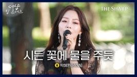 지보영 - HYNN(박혜원) 마이너 갤러리