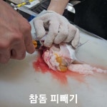 만사형통산오징어 - YouTube 만사형통산오징어