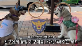 네이버 인플루언서 [네이버 인플루언서] 친구에게 경찰 지구대,병원을 소개해주는 부끄