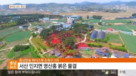 충남방송뉴스-충남방송 페이스북 조회수 3위, 서산 인지면 영산홍 붉은 물결(뉴스방영 2017.05.05) | Doovi 충남방송뉴스-충남방송... 