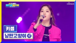 낭만고양이 (cover) 국가부 - 키썸 마이너 갤러리