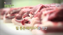구시월드 홍보영상 (신대동여지도 94회 돼지농장) | Doovi 구시월드 홍보영상 (신대동여지도 94회 돼지농장)