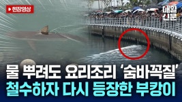 소방·해경 철수하자 다시 나타난 '부캉이' - 기타 국내 드라마 갤러리