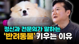 네이버 인플루언서 [네이버 인플루언서] 정신과 전문의가 말하는 한국 사람들이 반려동물을 키우는 이유