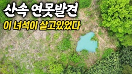 이 새소리로 동정 가능할까? 첨듣는 소리라서... - 조류 마이너 갤러리