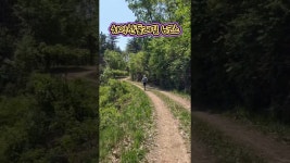 네이버 인플루언서 [네이버 인플루언서] 제법이네...치악산 둘레길 6코스 매봉산자락길 #치악산둘레길 #6코스 #매봉산자락길 #치악산 #원주... 