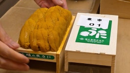 네이버 인플루언서 [네이버 인플루언서] 도쿄 밖의 참치 맛집