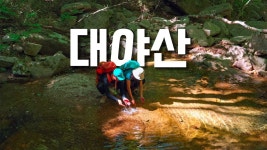네이버 인플루언서 [네이버 인플루언서] 여름에 대야산을 가는 이유 / 2024.06.06