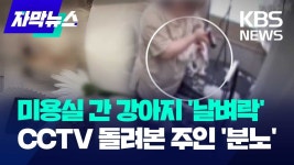 이거 쫌 충격적이다 - 미국 정치 마이너 갤러리