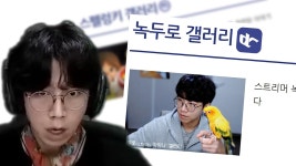 어우 이런게있네 - 녹두로(스트리머) 마이너 갤러리