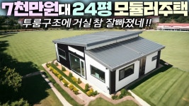 알리, 테무는 더 저렴할 듯. ㅋ - 정치, 사회 갤러리