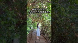 여기 안 가면 평생 후회!! #여행 #국내여행 #휴가 #여름휴가 #거제도 #거제도여행 #거제도명소 #장사도 #까멜리아 #가볼만한곳