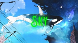 Sky - Elsic: 노래 가사, 뮤직 비디오 및 콘서트