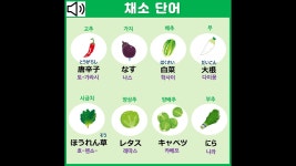 네이버 인플루언서 [네이버 인플루언서] 일본어 단어 공부 | 채소(야채)