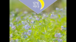 Green Greetings - 달빛바다 | Shazam