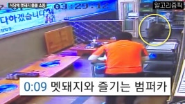 경기도 식당에 멧돼지가 ㄷㄷ - 공무원(공시생) 미니 갤러리