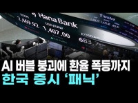 AI 버블 붕괴에 환율 폭등까지…한국 증시 ‘패닉’