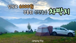 스트레쓰 경감 팁: 시야를 넓힌다 - 프로그래밍 갤러리