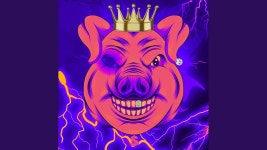 Rich Pig - Prod. By_MCD: 노래 가사, 뮤직 비디오 및 콘서트