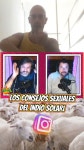 Al Pasto TV - YouTube