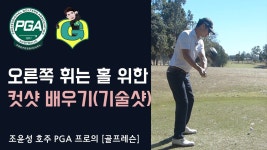 에휴 제발 컷샷치는거랑 슬라이스랑 같다고 하지말고 이거봐라 - 골프 갤러리