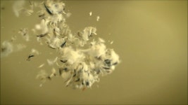 Back - 마이클 스타이프: 노래 가사, 뮤직 비디오 및 콘서트